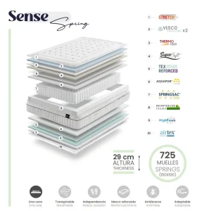 sense-spring-2