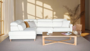 Newton ambiente (1)