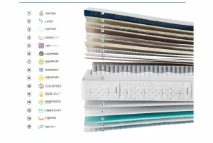 level-top-firm-capas-scaled